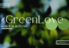 Celebrate Holidays With #GreenLove, let Kim Molina Show You How